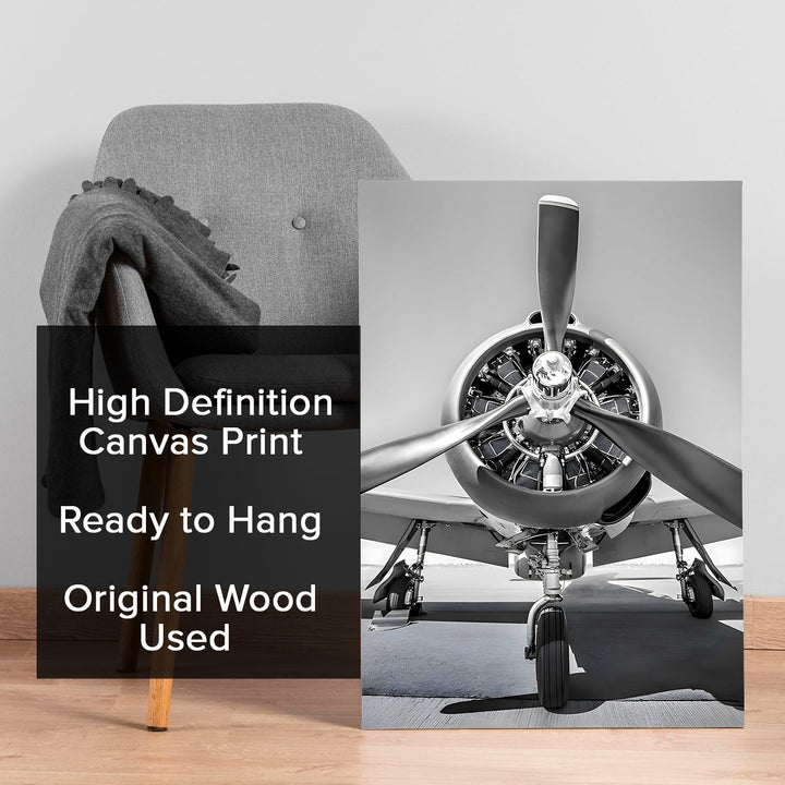 Vintage Wings Wall Art Painting, HD Canvas Print, Framed, Ready to Hang. (VINWA148)