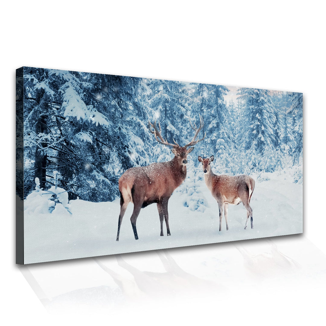 Amazing Wildlife Wall Art. Large Canvas Framed Digital Reprints of Jungle, Wildlife, Animals and Birds. Ready To Hang. Size: 24 Inch x 48 Inch (WBWA33)