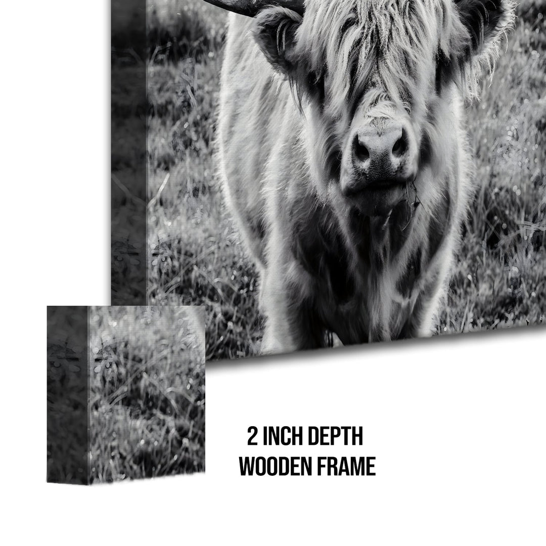 Wildlife Canvas Wall Art. High Definition Potraits of Animals. (BWWA02)