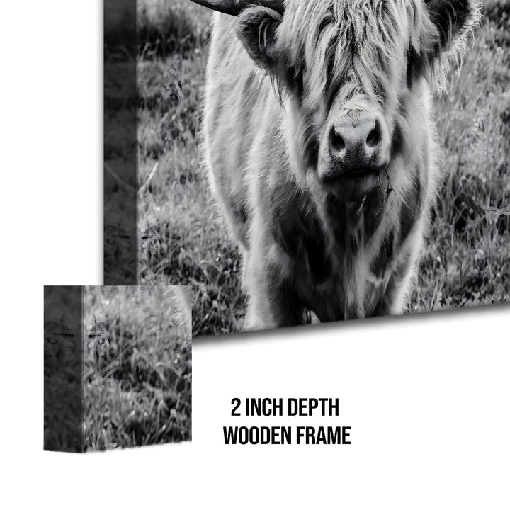 Wildlife Canvas Wall Art. High Definition Potraits of Animals. (BWWA02)