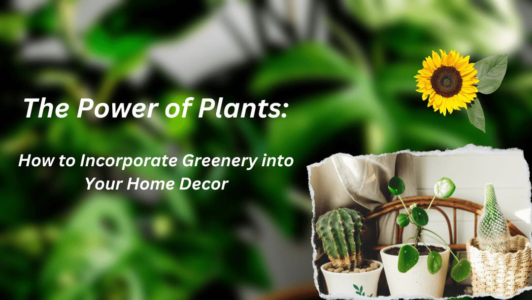 The Power of Plants: How to Incorporate Greenery into Your Home Decor - Paper Plane Design