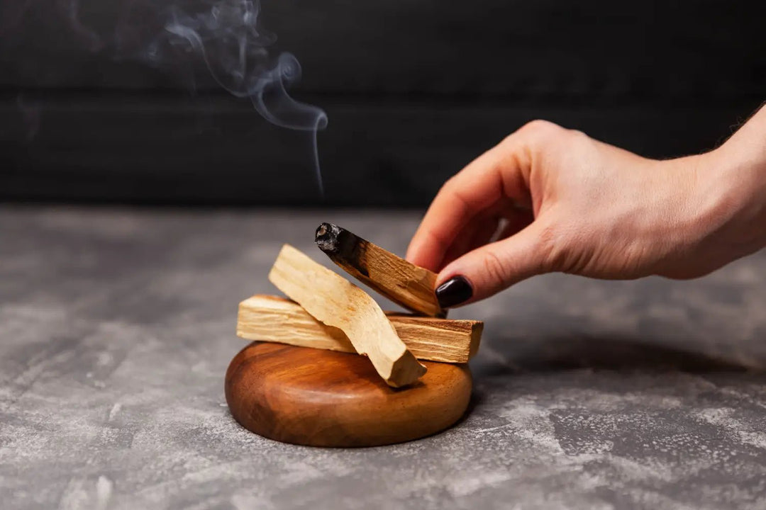 Uncovering the Magic of Palo Santo: The Benefits of Burning Holy Wood - Paper Plane Design