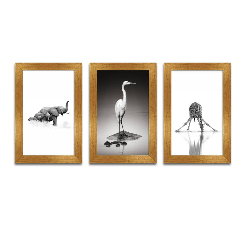 Wildlife African Canvas Painting Framed For Living Room and Hotels