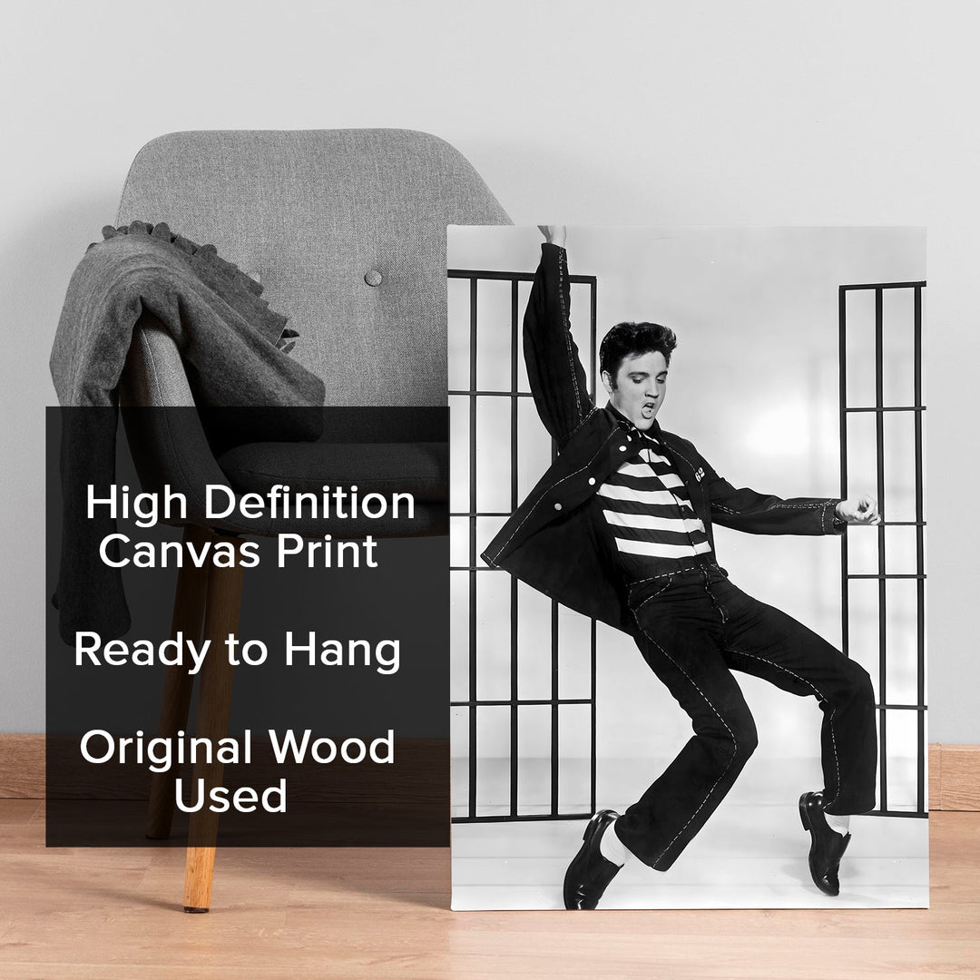 Swinging to Stardom Wall Art Painting, HD Canvas Print, Framed, Ready to Hang. (ABMWA139)