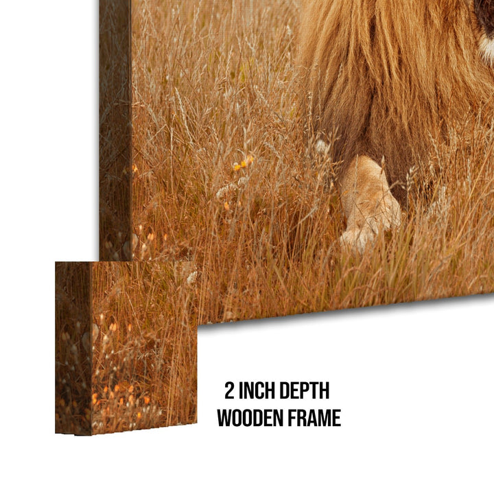 Amazing Wildlife Wall Art. Large Canvas Framed Digital Reprints of Jungle, Wildlife, Animals and Birds. Ready To Hang. Size: 24 Inch x 48 Inch (WBWA25)