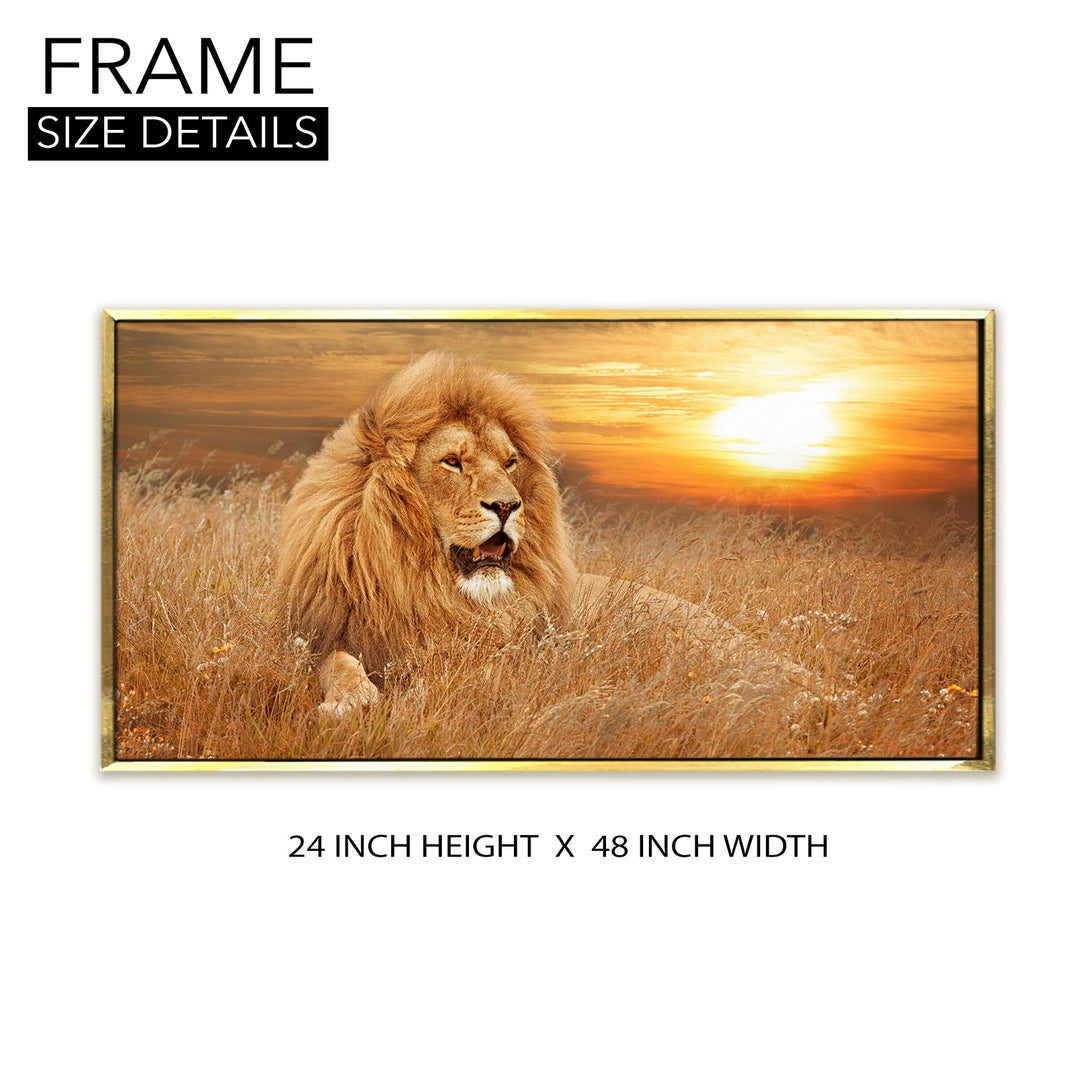 Amazing Wildlife Wall Art. Large Canvas Framed Digital Reprints of Jungle, Wildlife, Animals and Birds. Ready To Hang. Size: 24 Inch x 48 Inch (WBWA25)