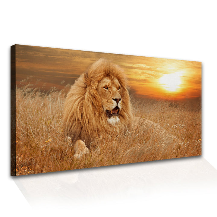 Amazing Wildlife Wall Art. Large Canvas Framed Digital Reprints of Jungle, Wildlife, Animals and Birds. Ready To Hang. Size: 24 Inch x 48 Inch (WBWA25)