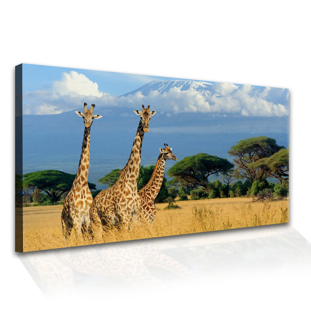 Amazing Wildlife Wall Art. Large Canvas Framed Digital Reprints of Jungle, Wildlife, Animals and Birds. Ready To Hang. Size: 24 Inch x 48 Inch (WBWA27)