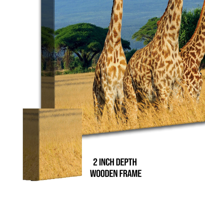 Amazing Wildlife Wall Art. Large Canvas Framed Digital Reprints of Jungle, Wildlife, Animals and Birds. Ready To Hang. Size: 24 Inch x 48 Inch (WBWA27)