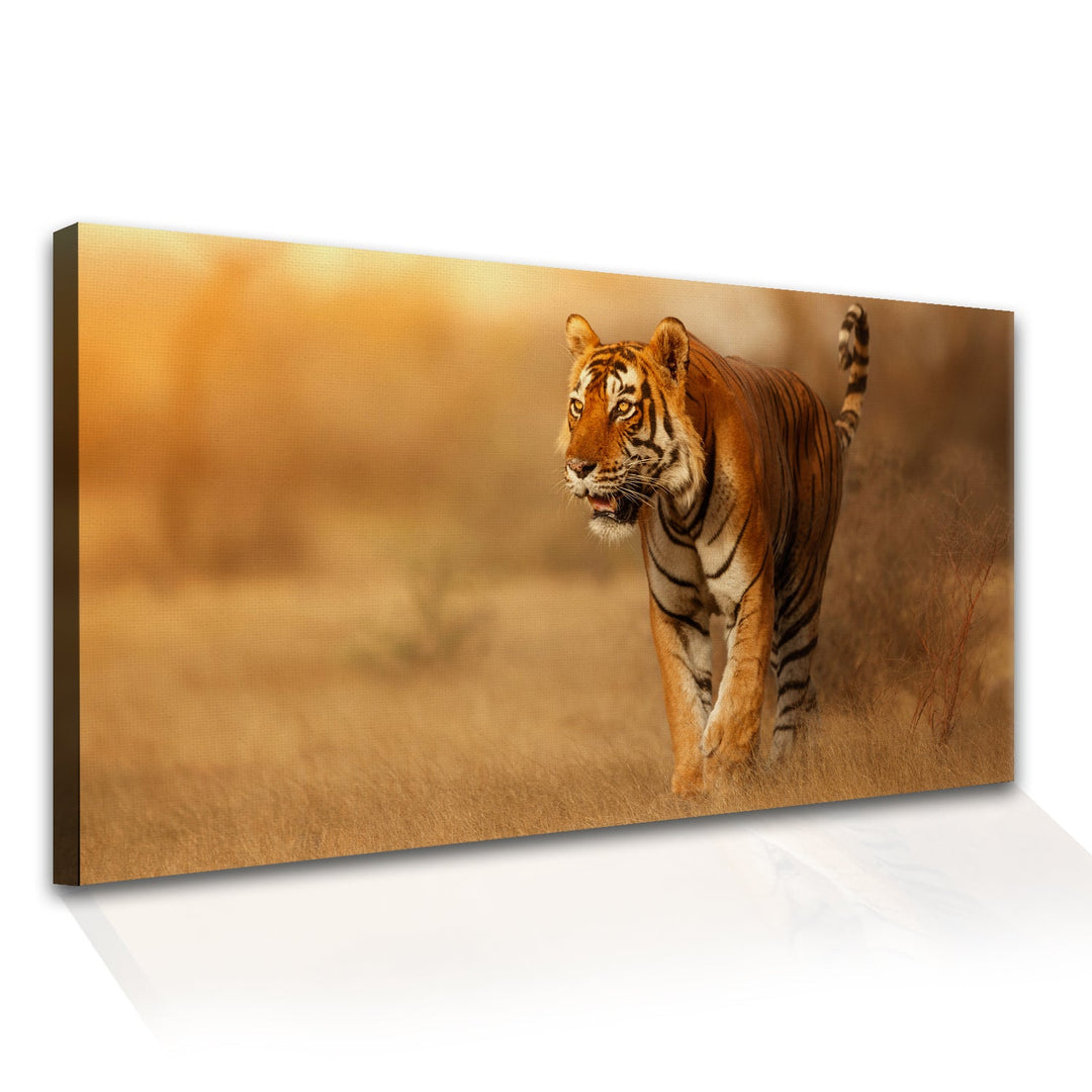 Amazing Wildlife Wall Art. Large Canvas Framed Digital Reprints of Jungle, Wildlife, Animals and Birds. Ready To Hang. Size: 24 Inch x 48 Inch (WBWA28)