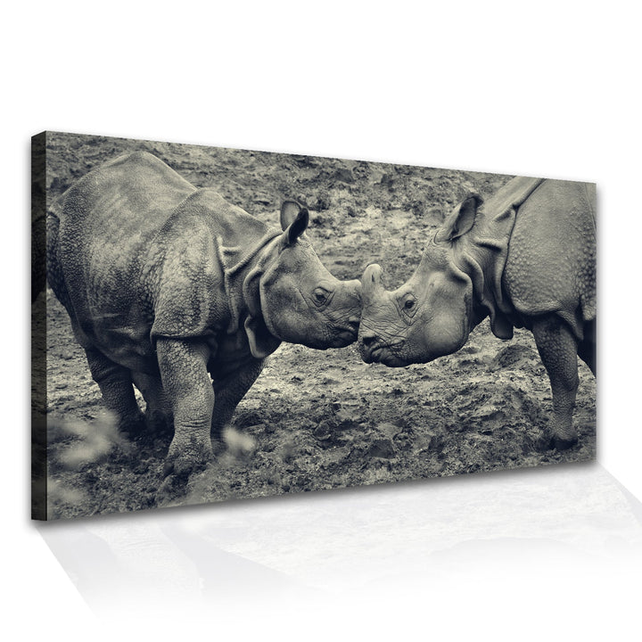 Amazing Wildlife Wall Art. Large Canvas Framed Digital Reprints of Jungle, Wildlife, Animals and Birds. Ready To Hang. Size: 24 Inch x 48 Inch (WBWA35)