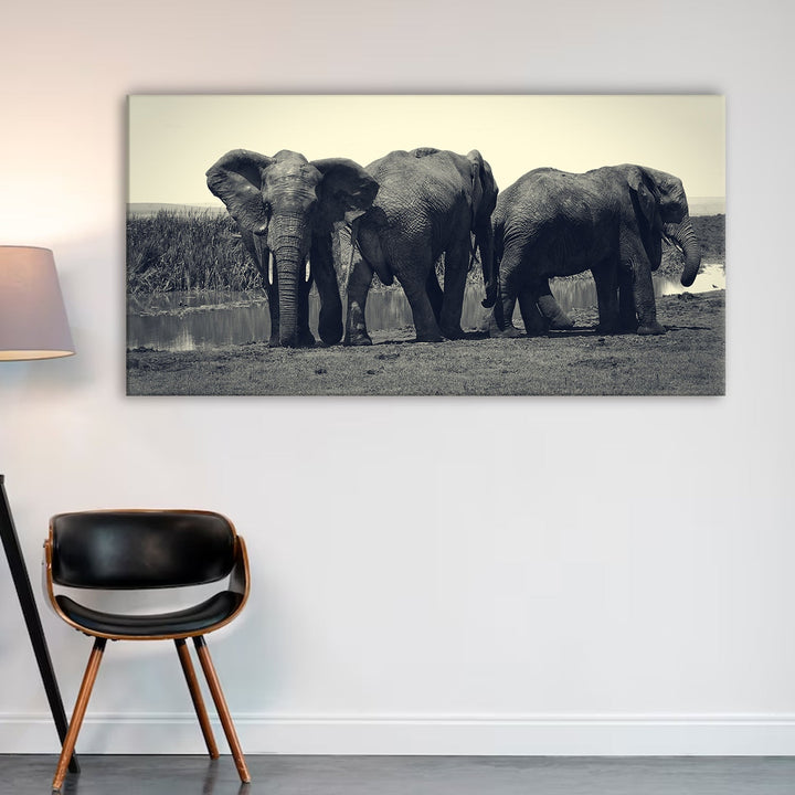 Amazing Wildlife Wall Art. Large Canvas Framed Digital Reprints of Jungle, Wildlife, Animals and Birds. Ready To Hang. Size: 24 Inch x 48 Inch (WBWA36)