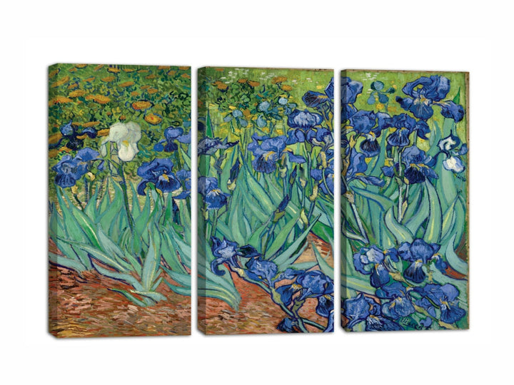 Floral Wall Art Canavs Painting 3 Panels Frame for Home and Office Wall Decoration