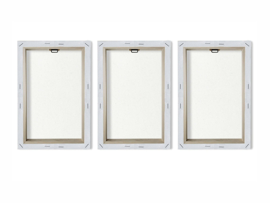 Elevate Your Living Room with Modern Wall Art, 3 Panels & Frames ...